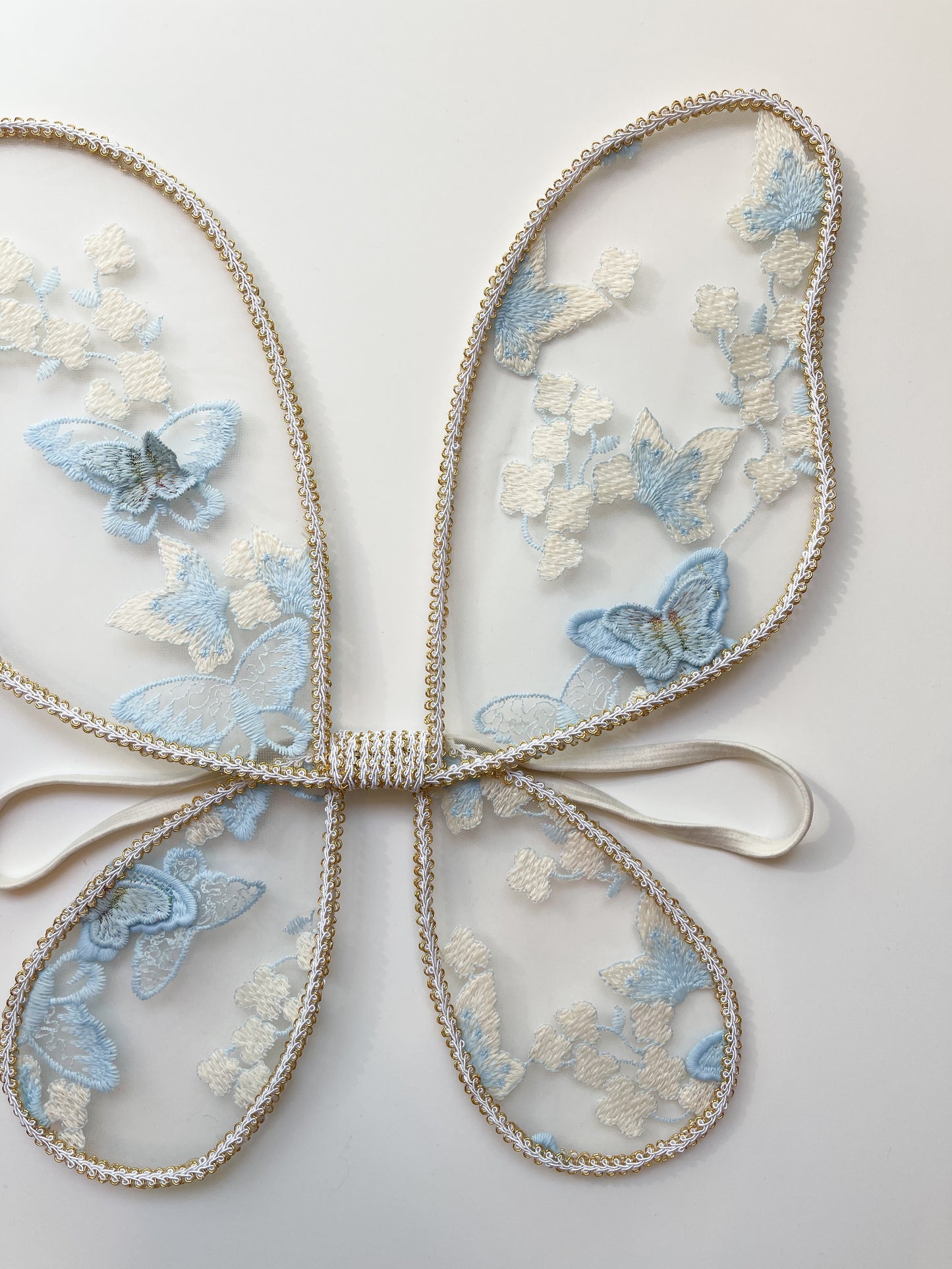 Baby blue butterfly wings