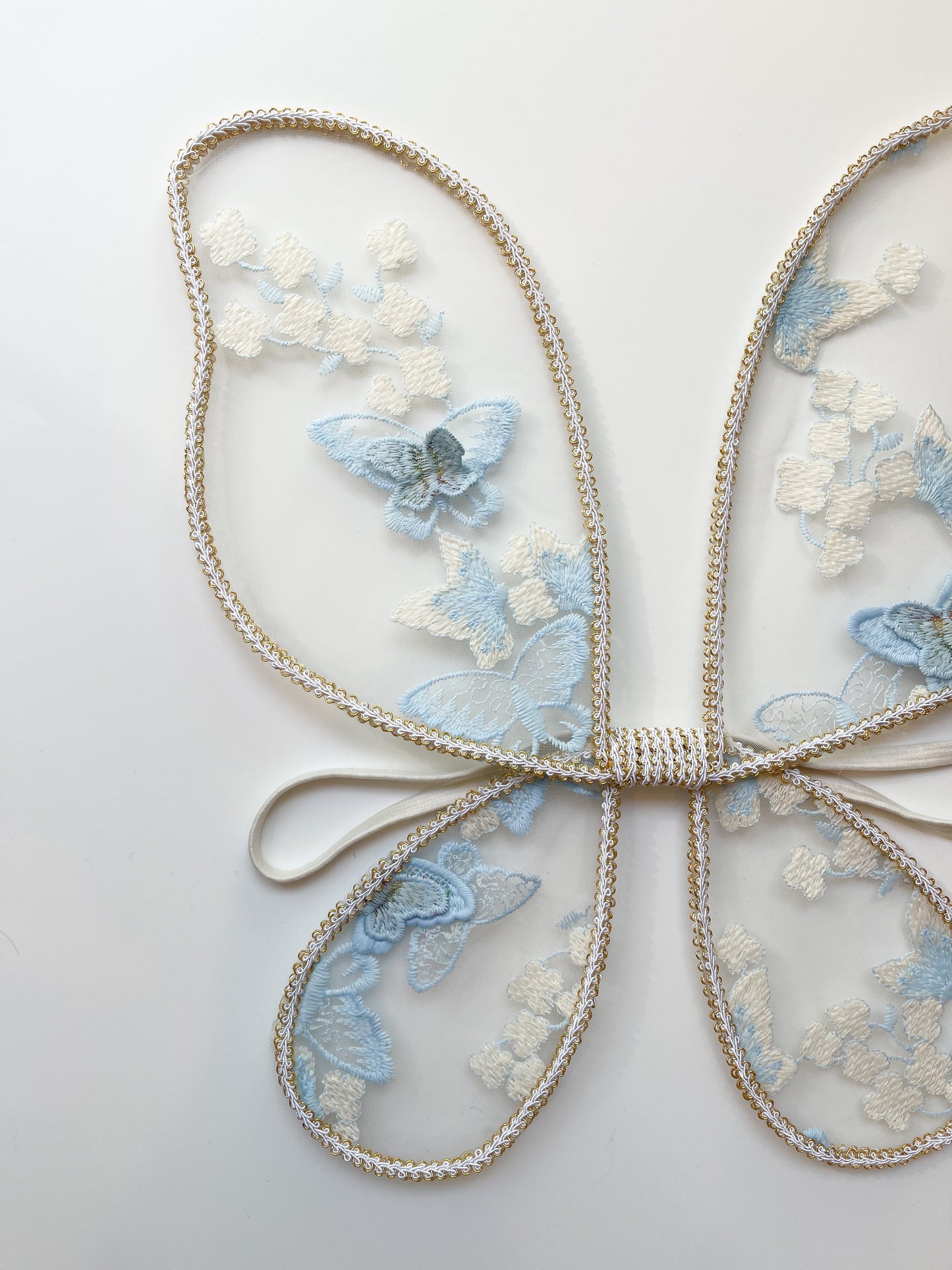 Baby blue butterfly wings