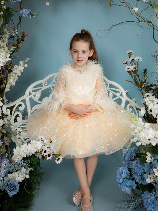 Iconic Swan Lake dress