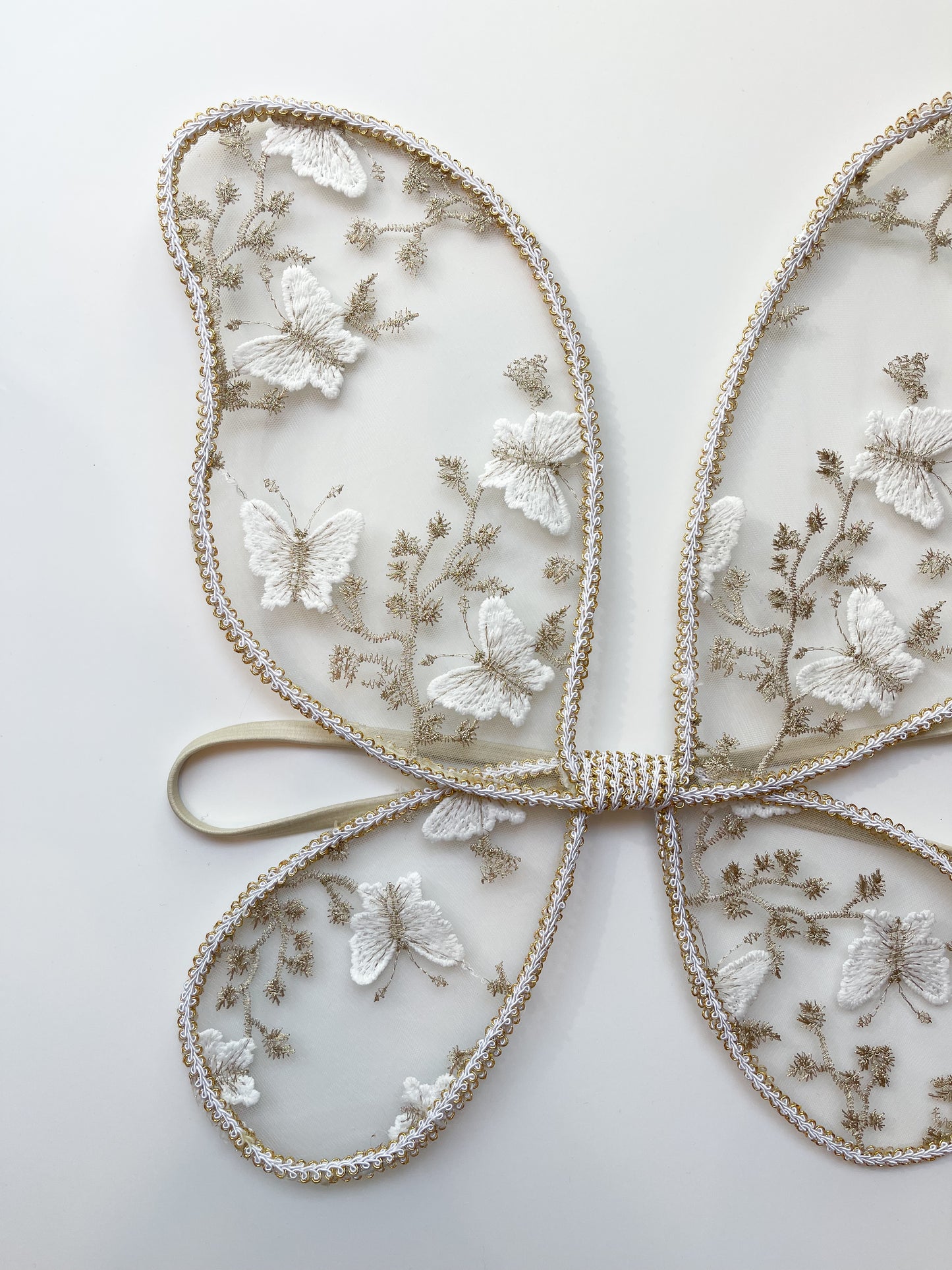 Dreamy butterfly fairy wings