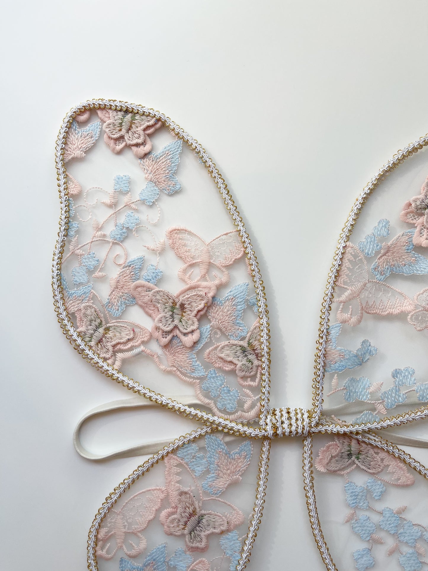 Dreamy dusty rose wings