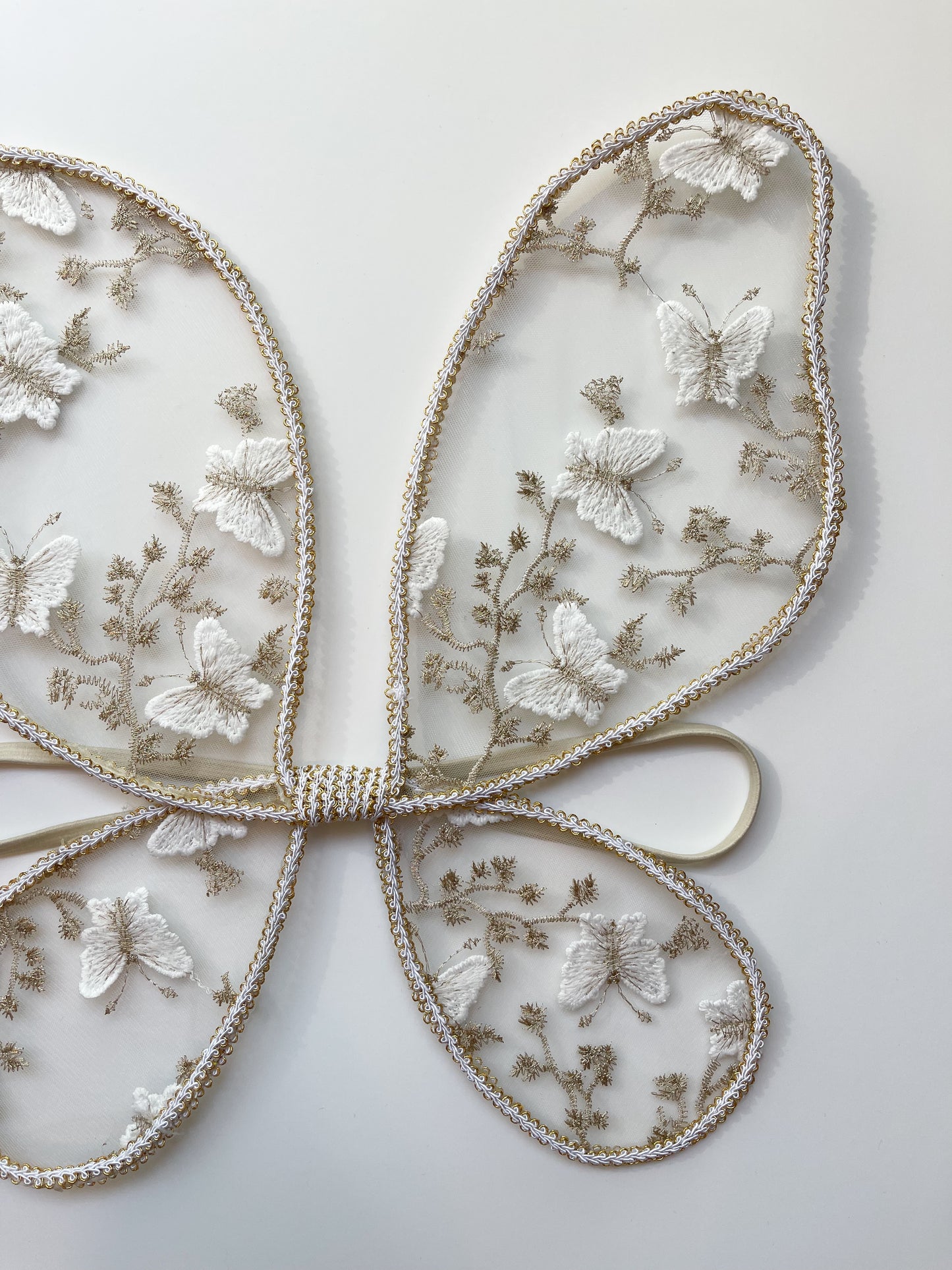 Dreamy butterfly fairy wings