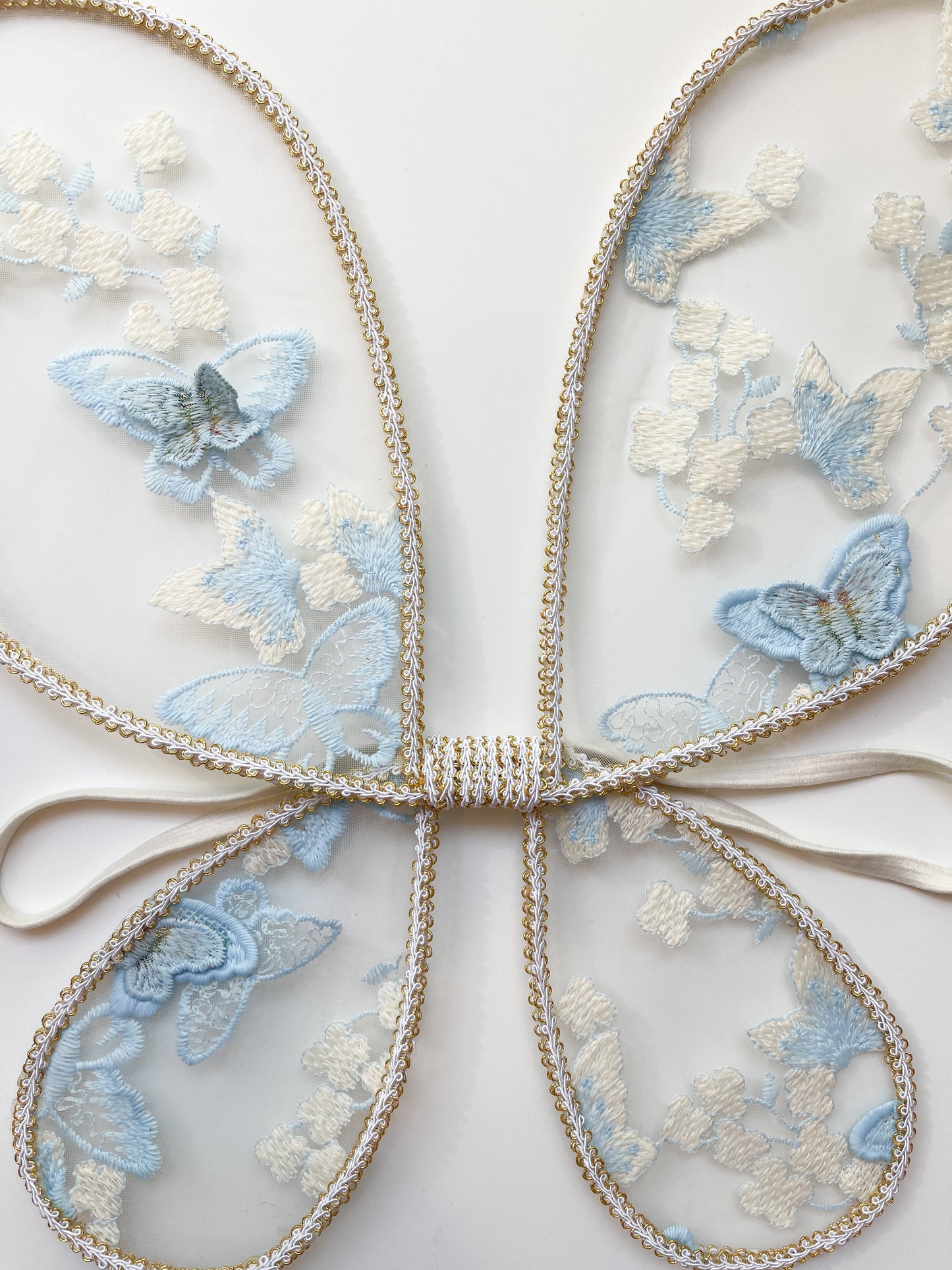 Baby blue butterfly wings