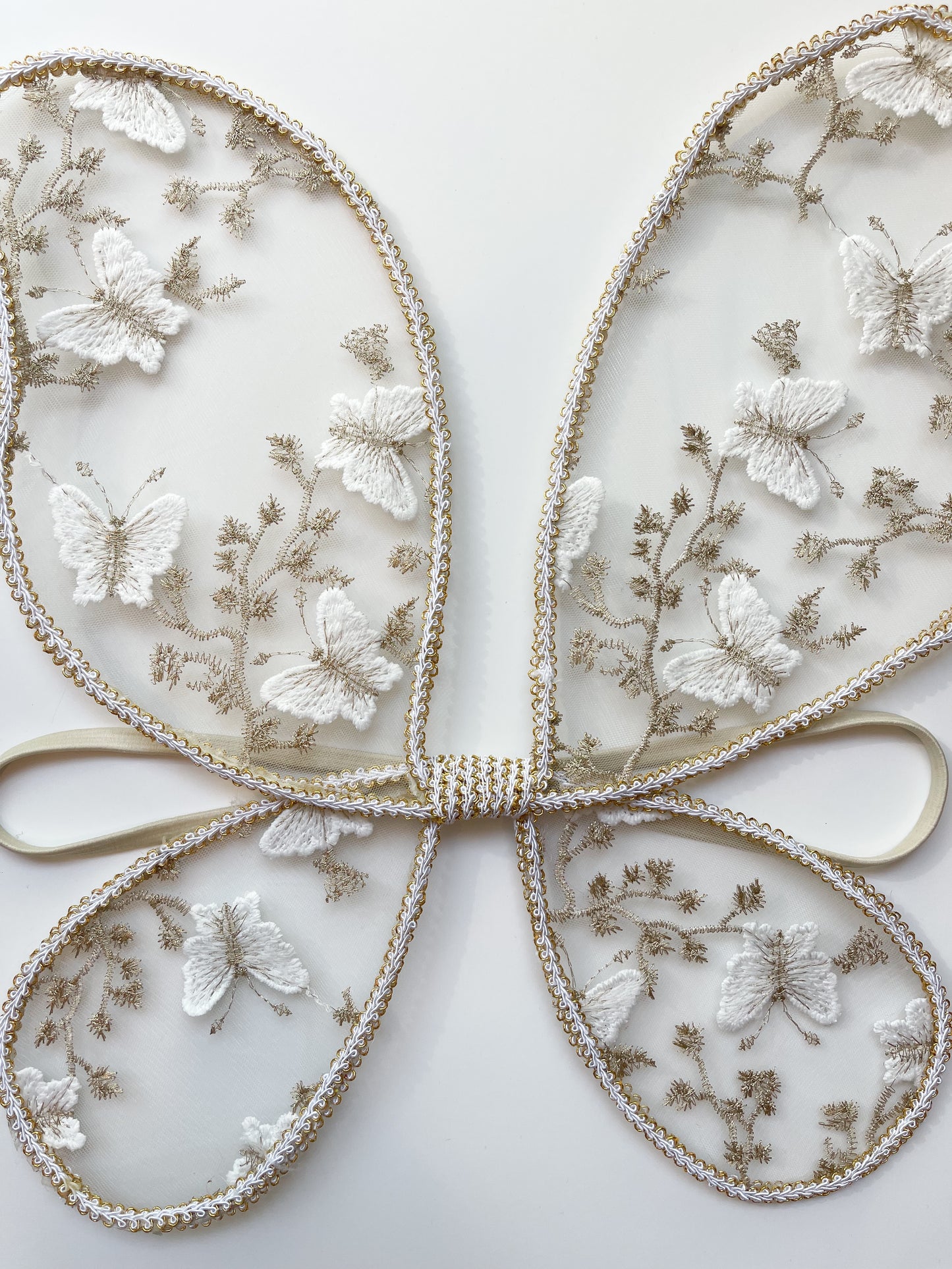 Dreamy butterfly fairy wings