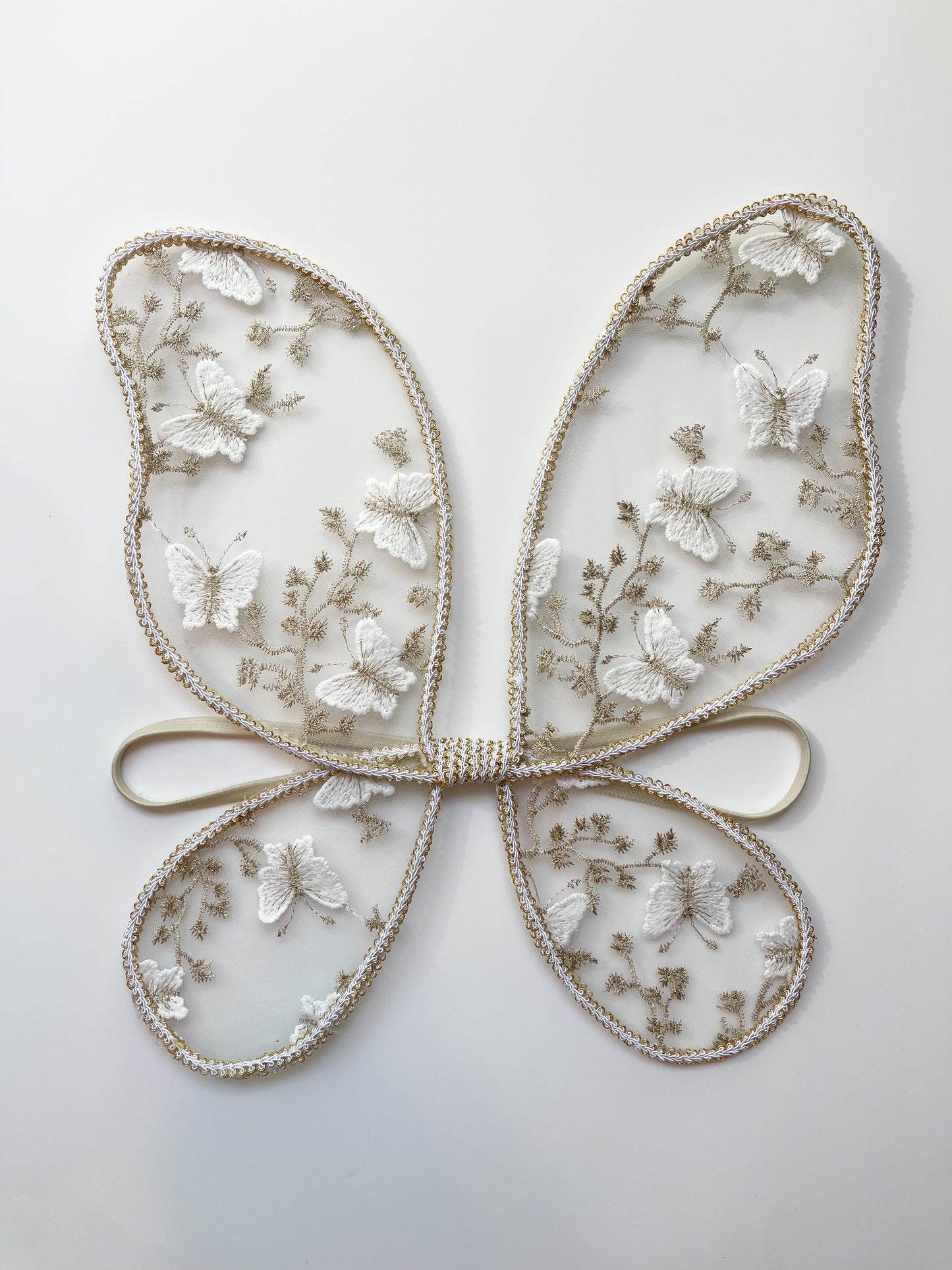 Dreamy butterfly fairy wings